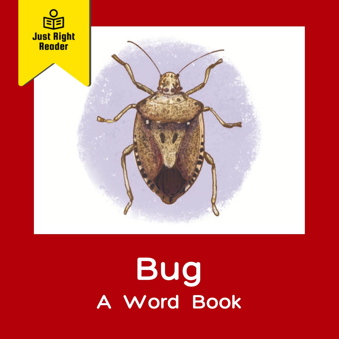 Bug - A Word Book - Just Right Reader