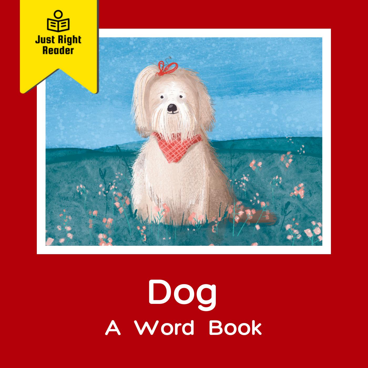 Dog - A Word Book - Just Right Reader