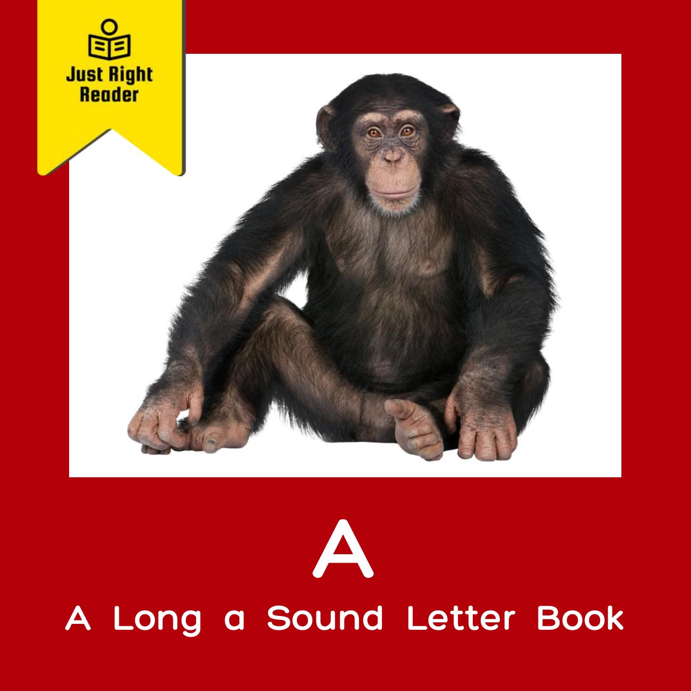 A - A Long a Sound Letter Book - Just Right Reader