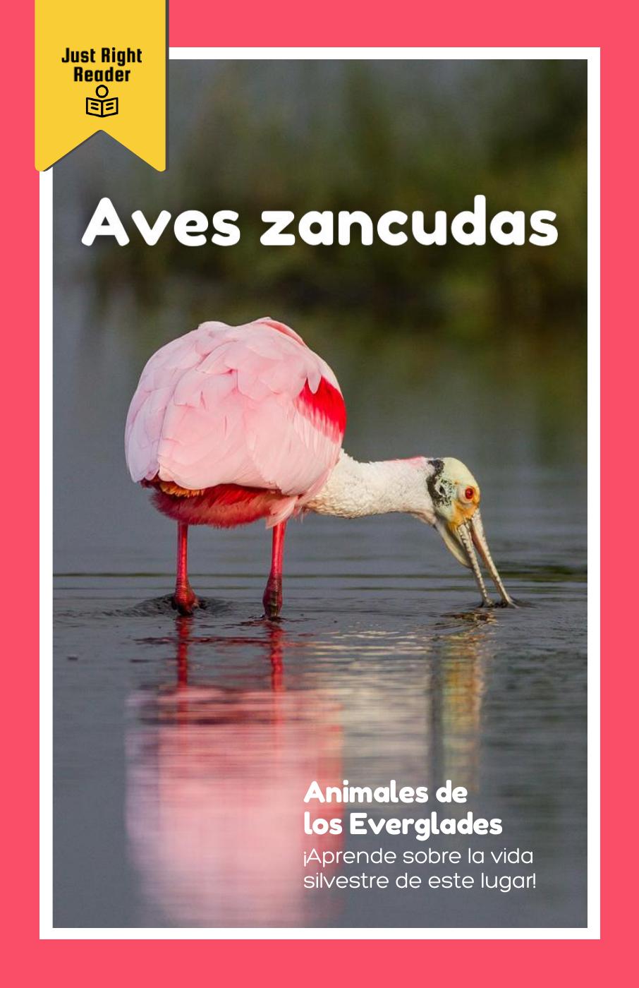 Aves zancudas - Just Right Reader