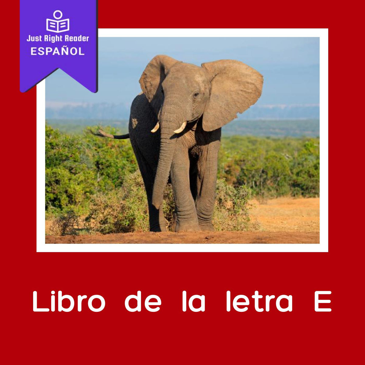 Libro de la letra E - Just Right Reader