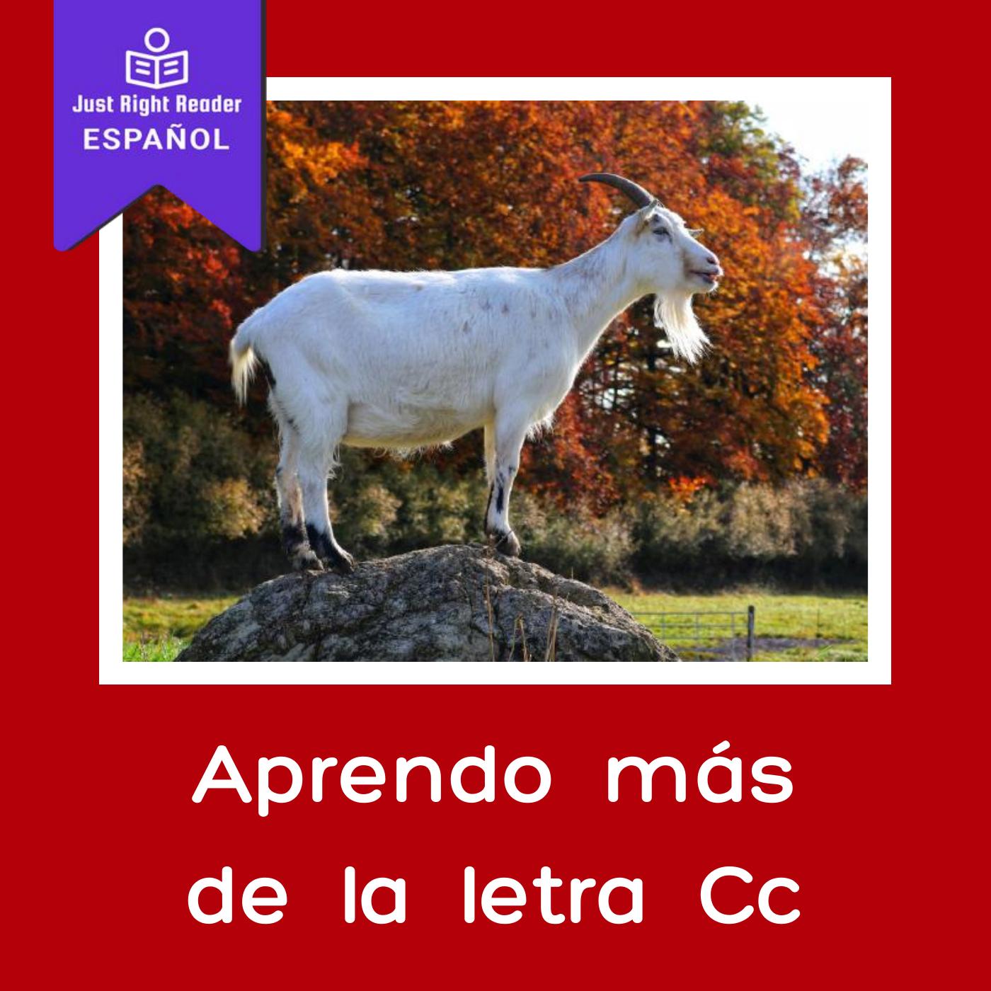 Aprendo más de la letra Cc - Just Right Reader