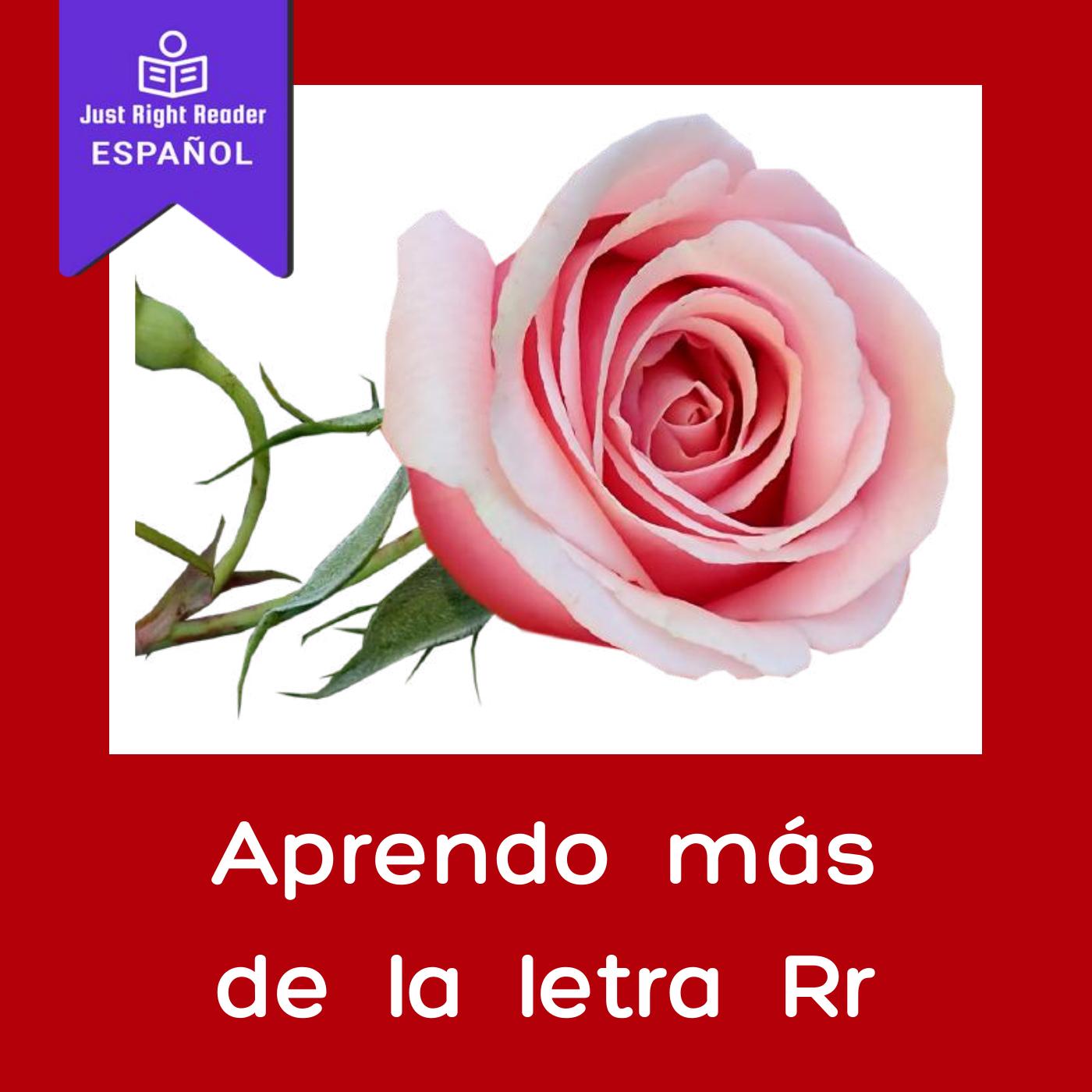 Aprendo más de la letra Rr - Just Right Reader
