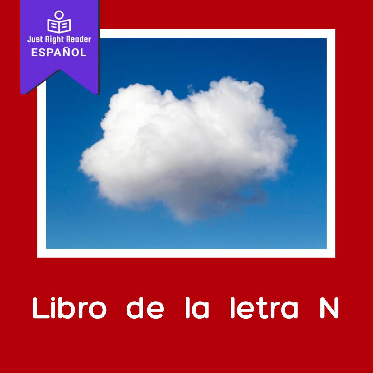 Libro de la letra N