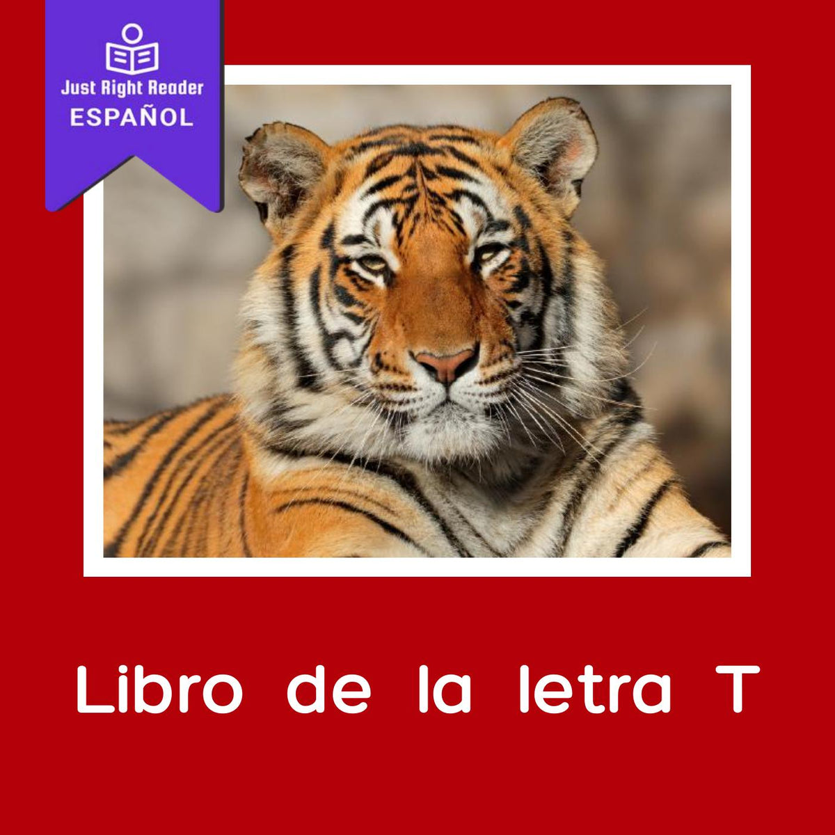 Libro de la letra T