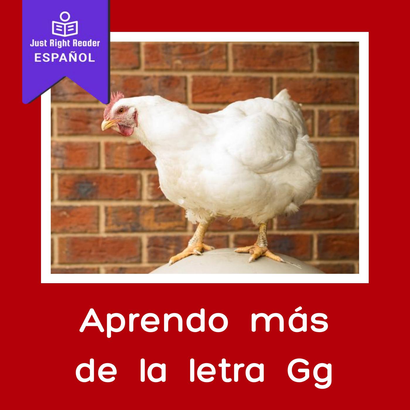 Aprendo más de la letra Gg - Just Right Reader