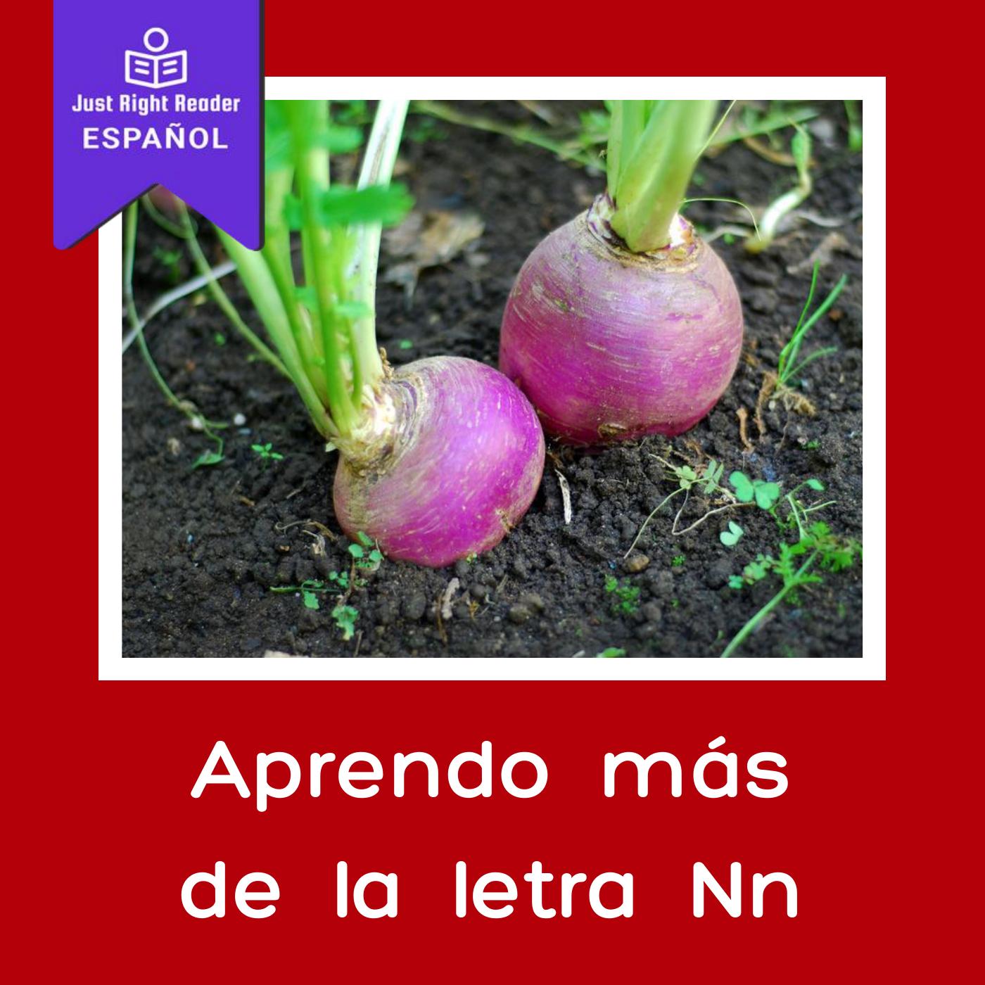 Aprendo más de la letra Nn - Just Right Reader