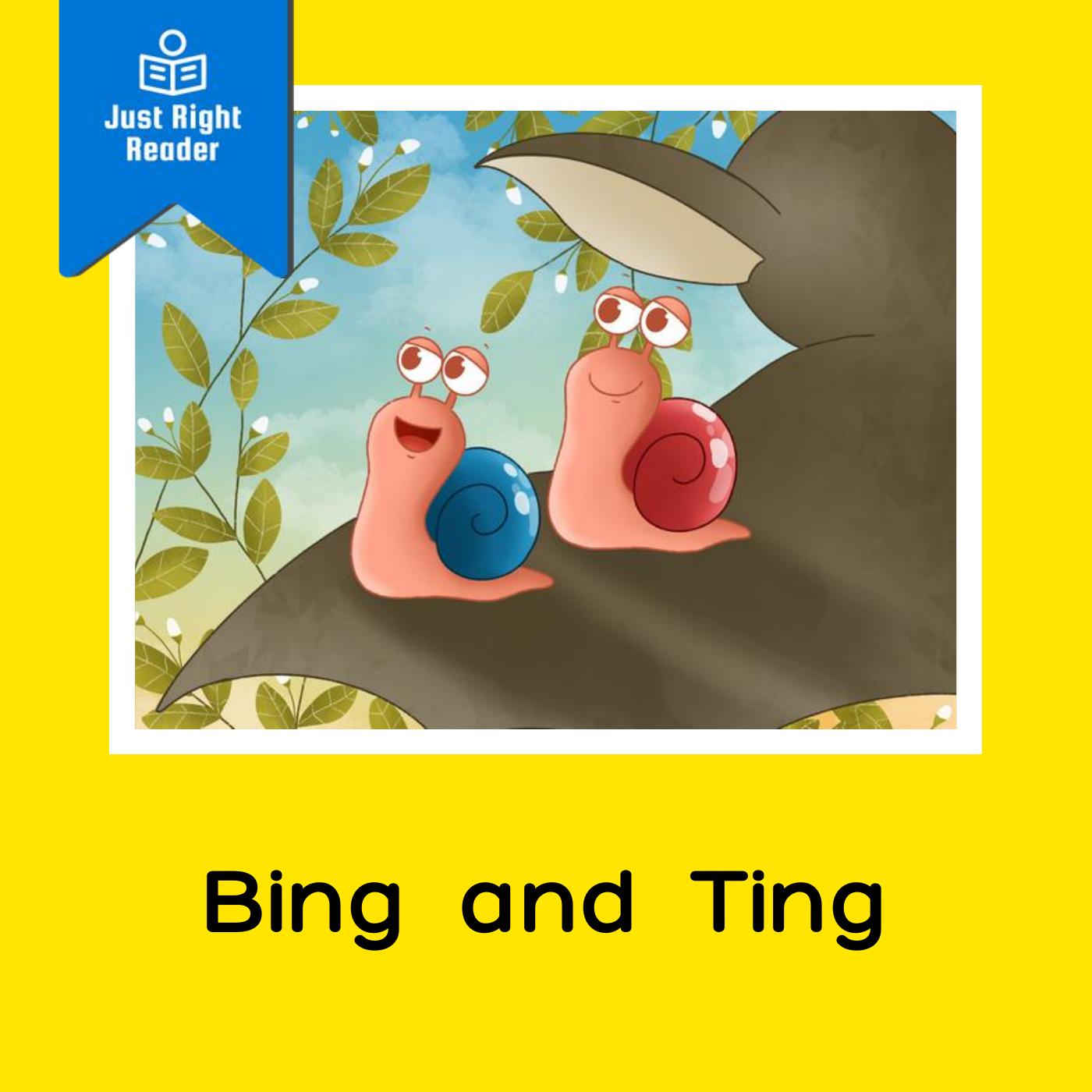 Bing and Ting - Just Right Reader