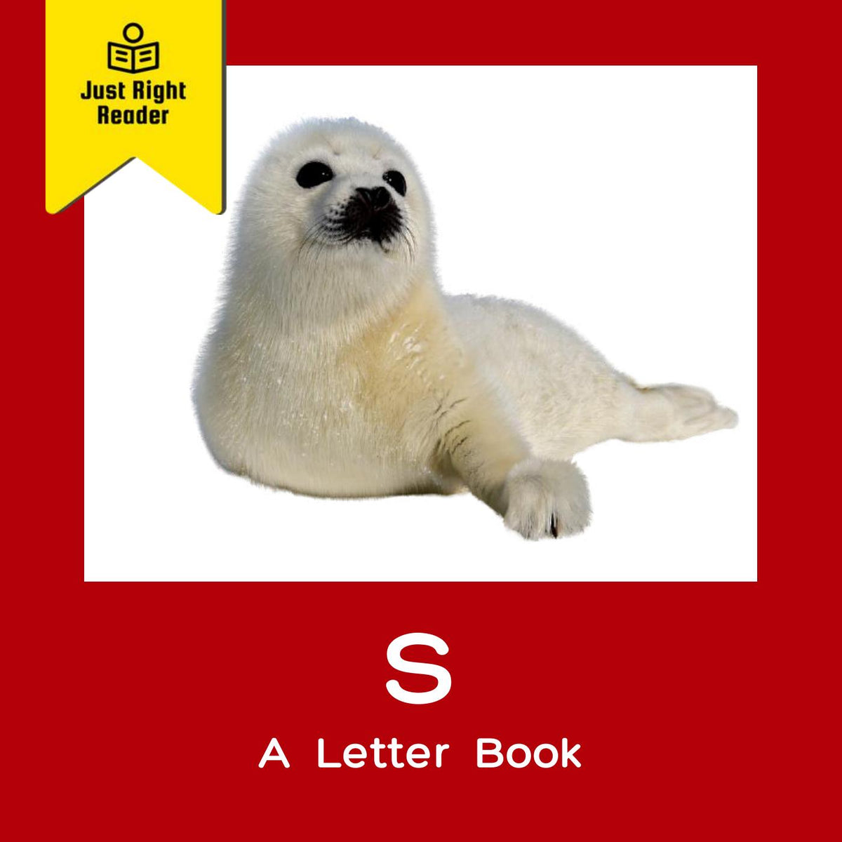 [Test] S a Letter Book