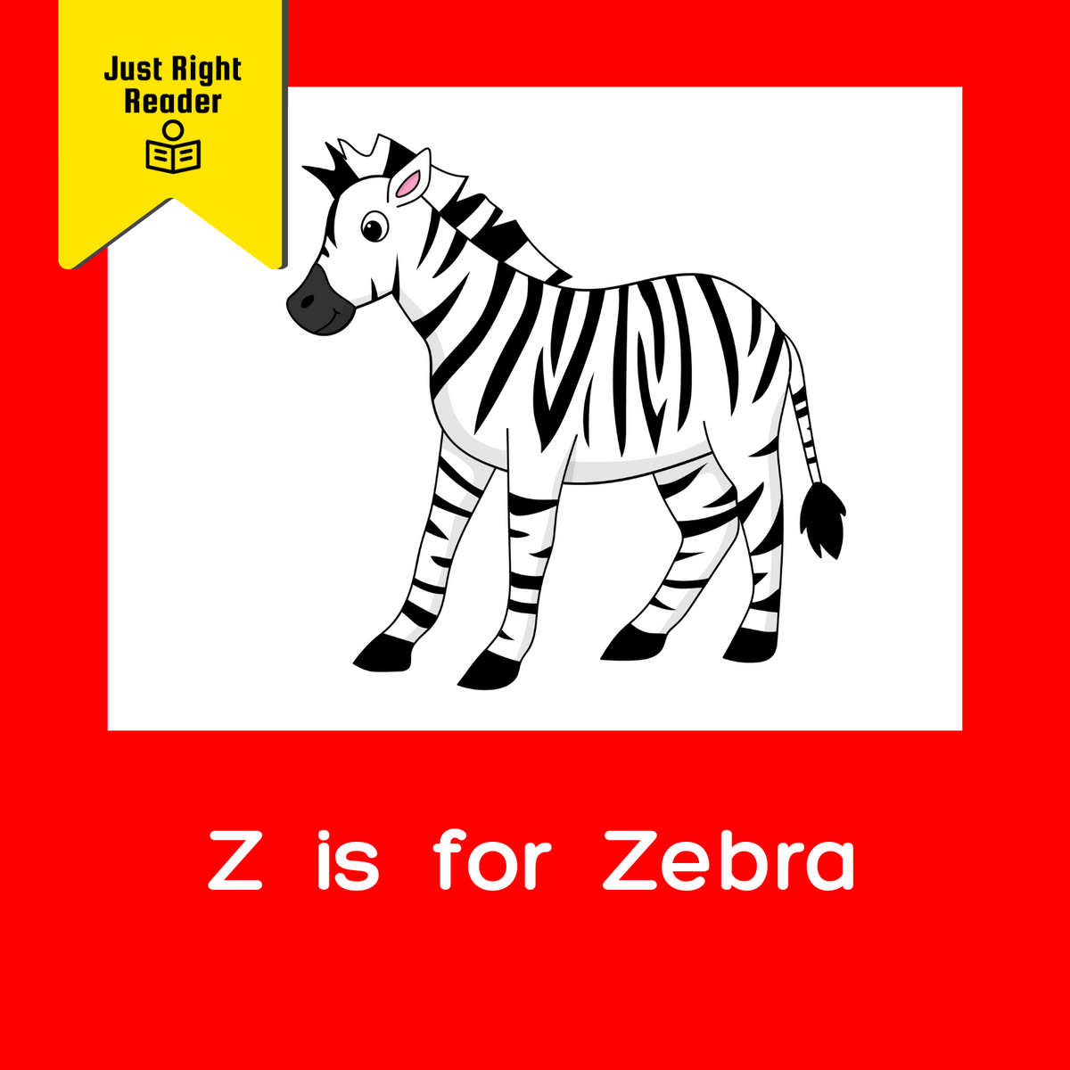 Z is for Zebra