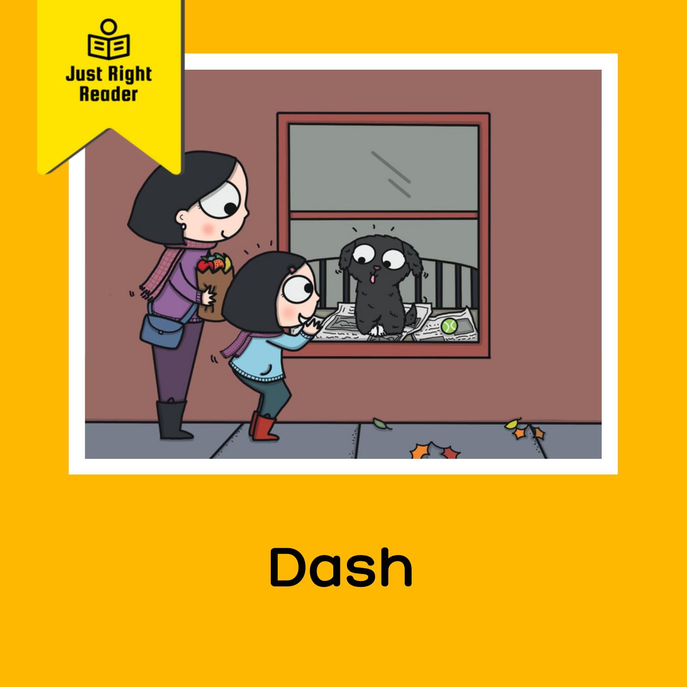 Dash - Just Right Reader