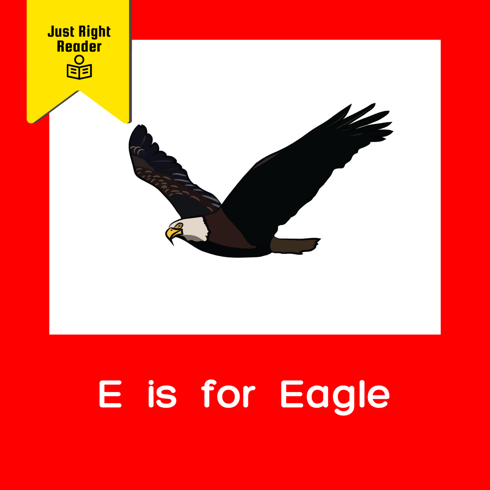 E is for Eagle - Just Right Reader