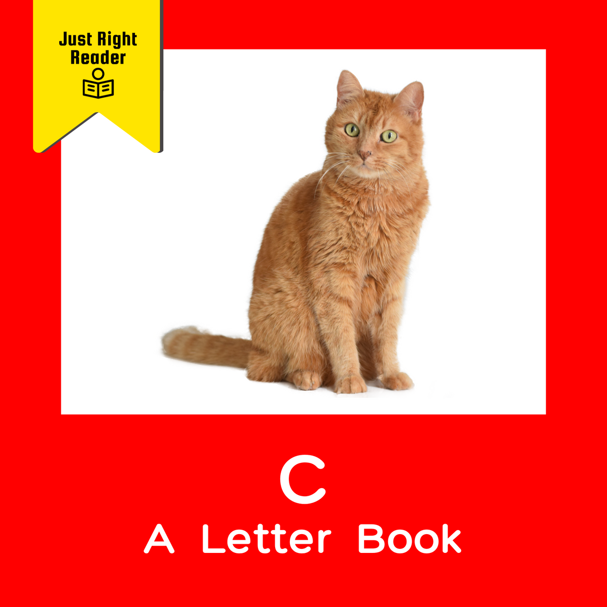 C - A Letter Book