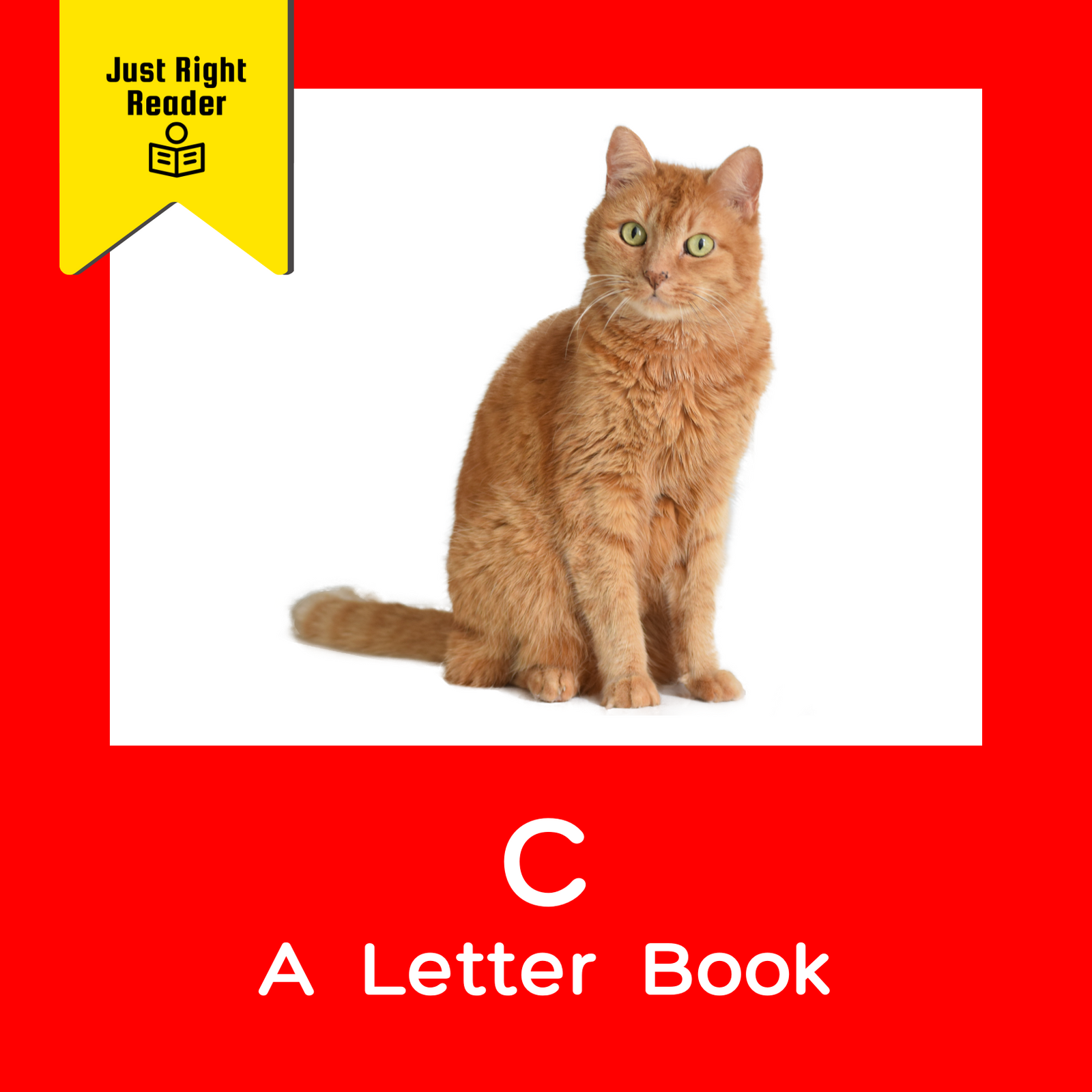 C - A Letter Book - Just Right Reader