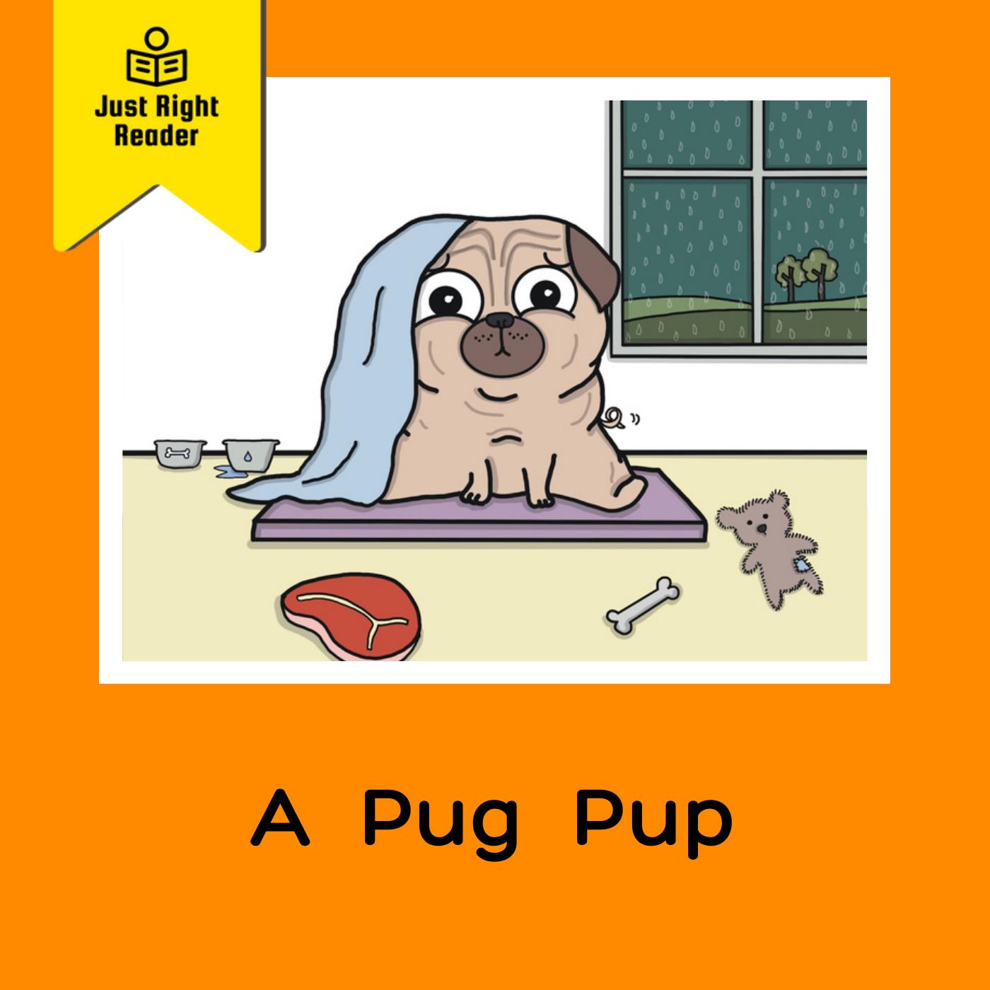 A Pug Pup - Just Right Reader