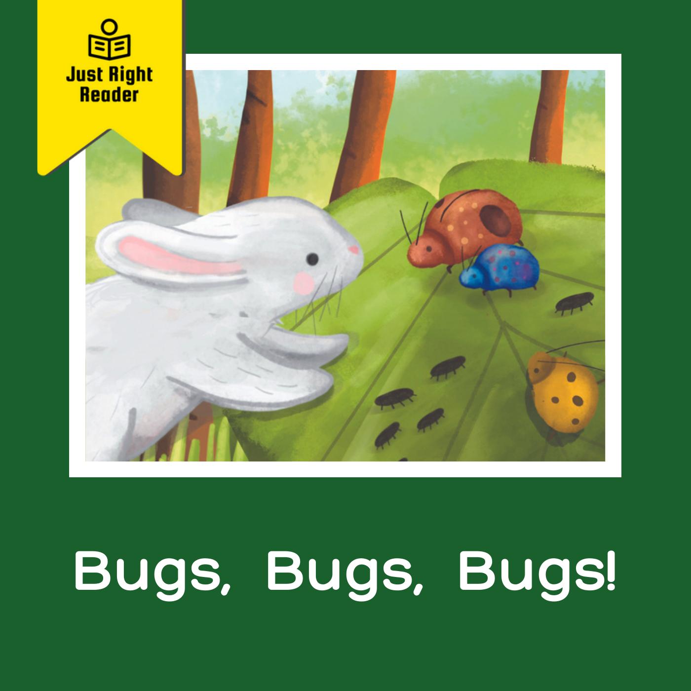 Bugs, Bugs, Bugs! - Just Right Reader