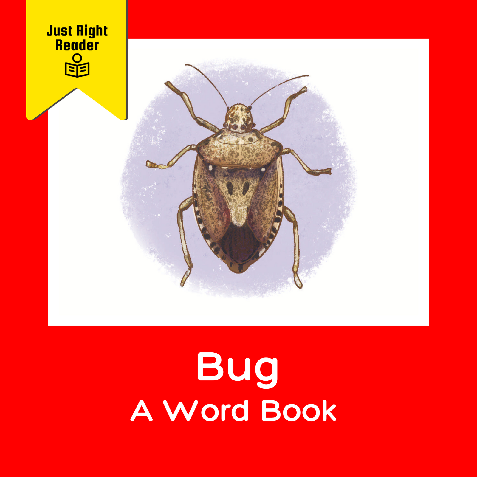 Bug - A Word Book - Just Right Reader