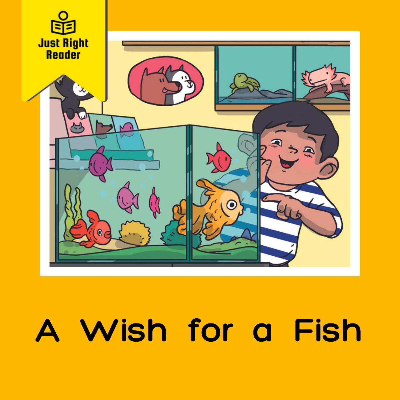 A Wish for a Fish - Just Right Reader