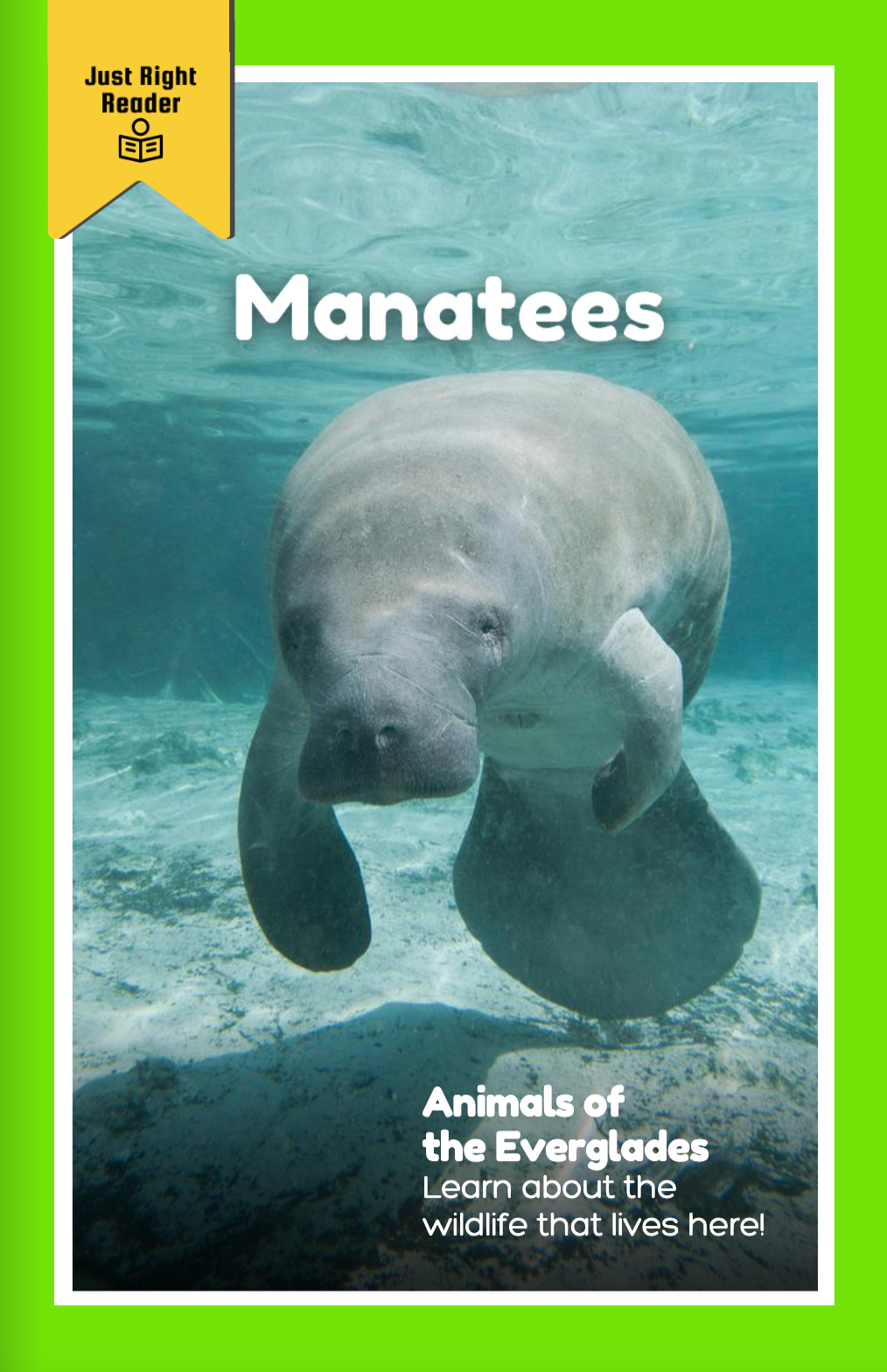 Animals of the Everglades: Manatees - Just Right Reader