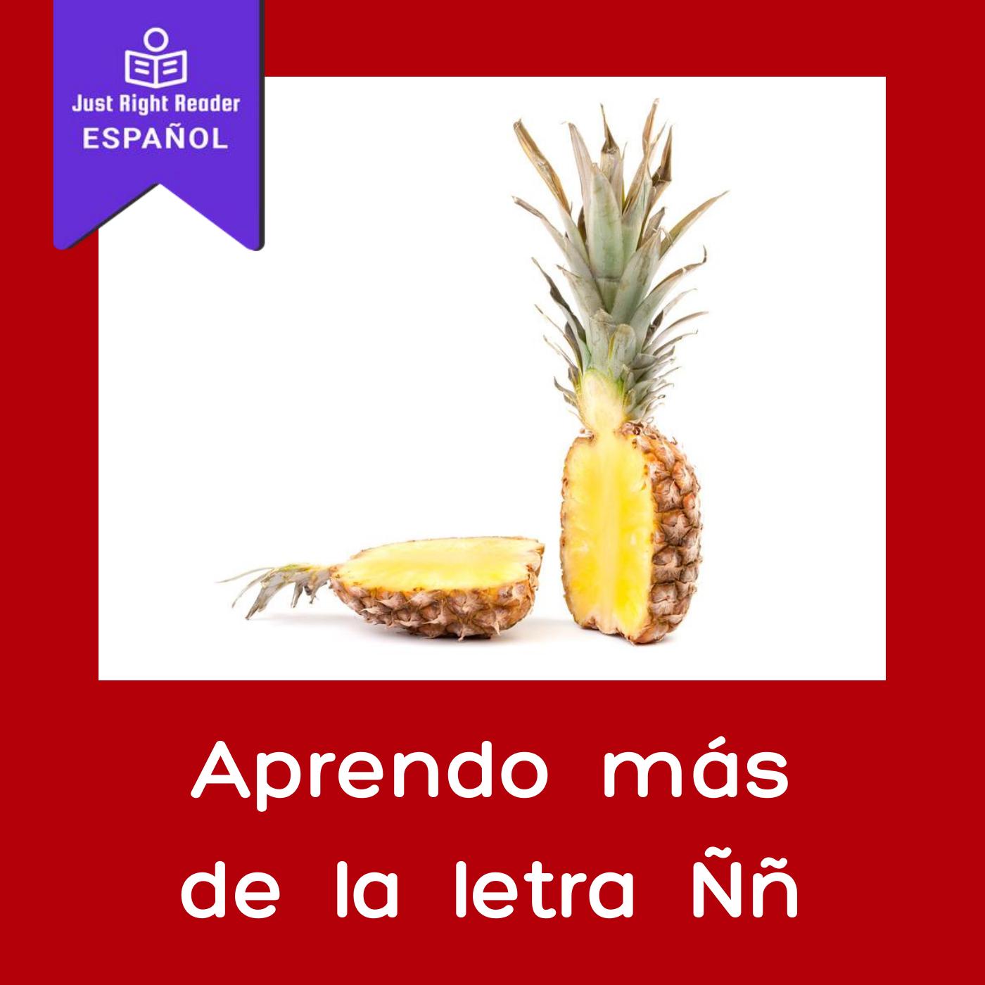 Aprendo más de la letra Ññ - Just Right Reader
