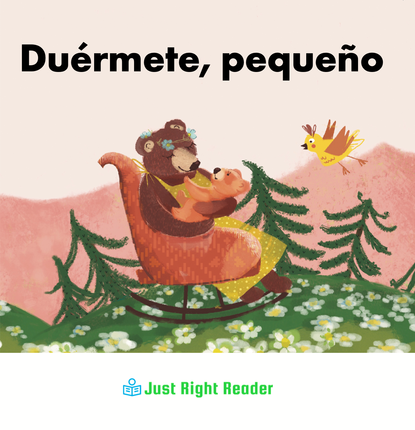 Duérmete, pequeño - Just Right Reader