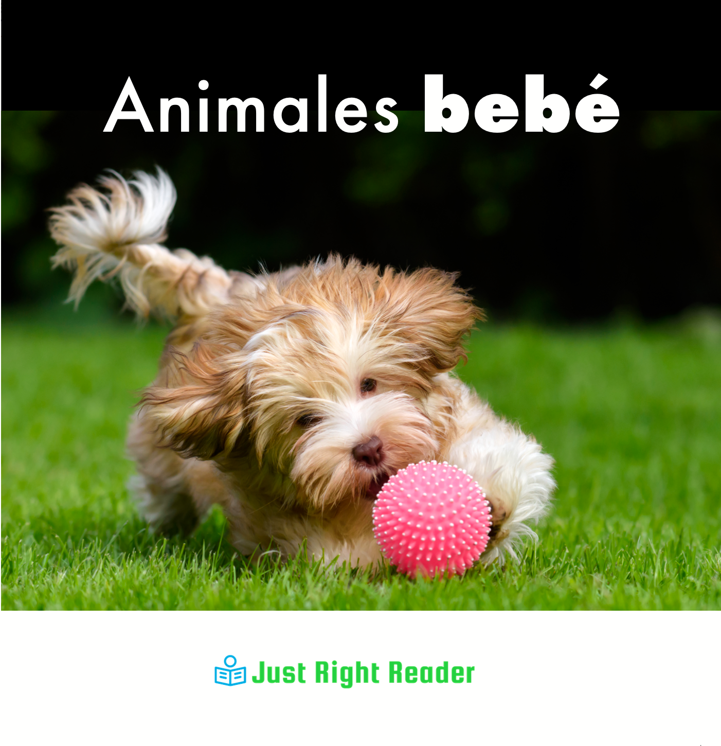 Animales bebé - Just Right Reader