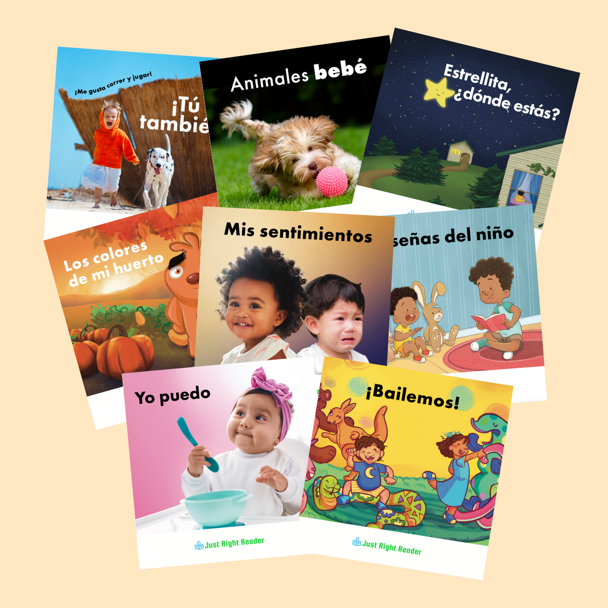 Board Books, 12-24 Months - Spanish: 12 books