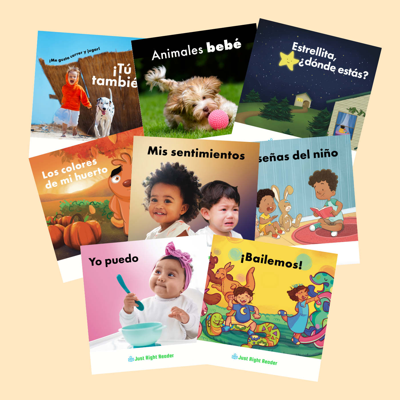 Board Books, 12-24 Months - Spanish: 12 books - Just Right Reader