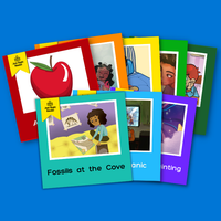 Classroom Libraries