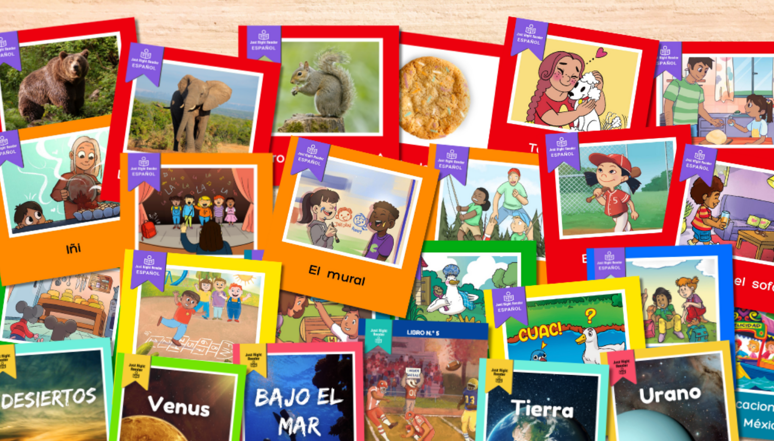 Just Right Reader | Decodable Books + Take-Everywhere Literacy Packs